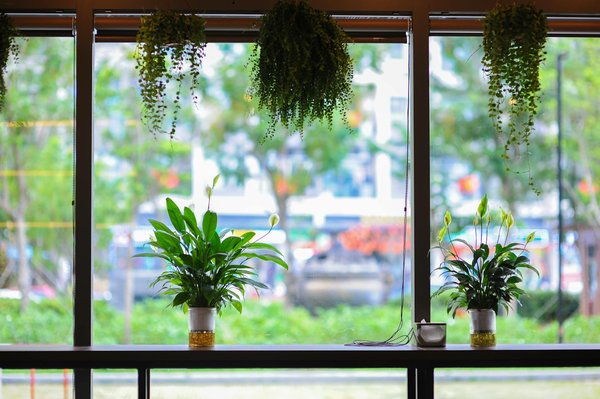 Initiation au Jazz : Le Guide Complet pour Explorer l'Univers Enrichissant du Jazz